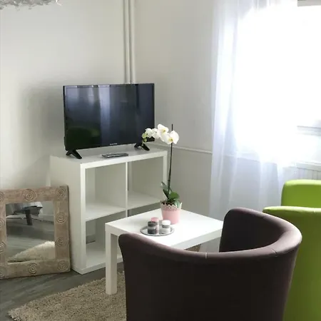 Apartment 5 Near Basel Airport
